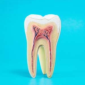 Family Dentist in Maspeth